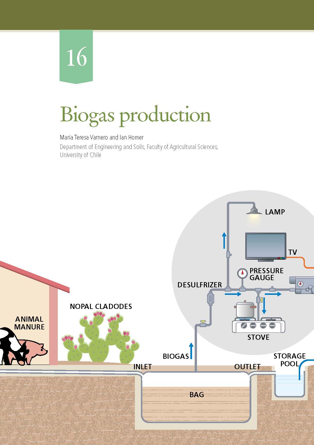 Biogas Production biogas-production